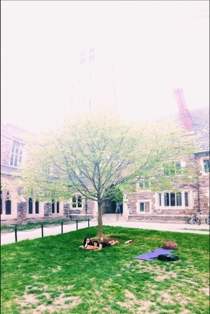 Springtime studying in Holder Courtyard! Photo courtesy of Dalma Foldesi '15. 