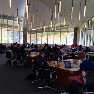 The Sunday before midterms: the Lewis Library Tree House, my favorite study spot, is packed.