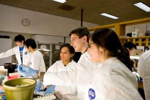 Princeton student researchers working at the Lewis Thomas lab