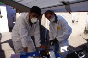 Cara Brook and her Malagasy colleague, Christian Ranaivoson, at work.