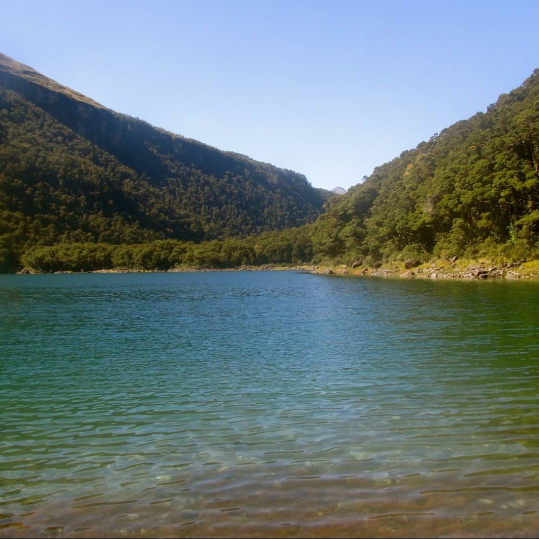 Lake Marian in Fiordland National Park, NZ! My friend Hema Lochan '16 took this photo during her semester abroad.