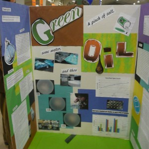 I didnt even know how to make a proper posterboard when I started conducting research.