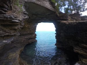 My favorite sample collection location: a natural limestone cave looking out over the ocean. 