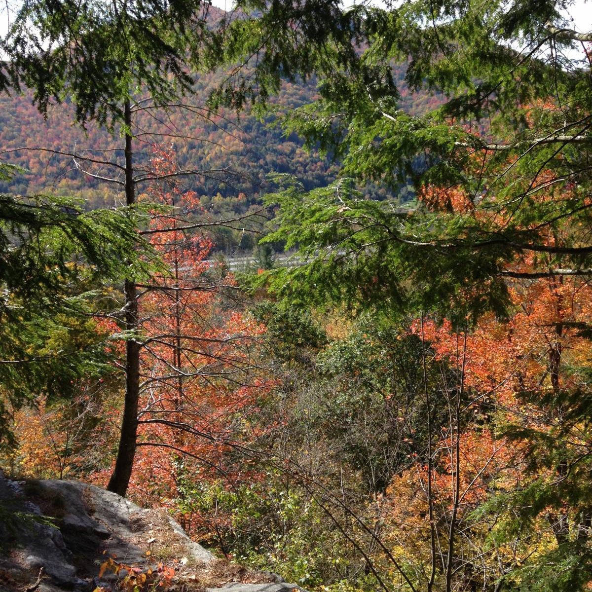 My view this weekend, rock climbing in Vermont with friends I met in New Zealand!