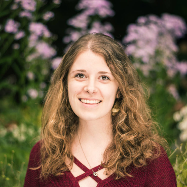 Economics senior thesis examples image