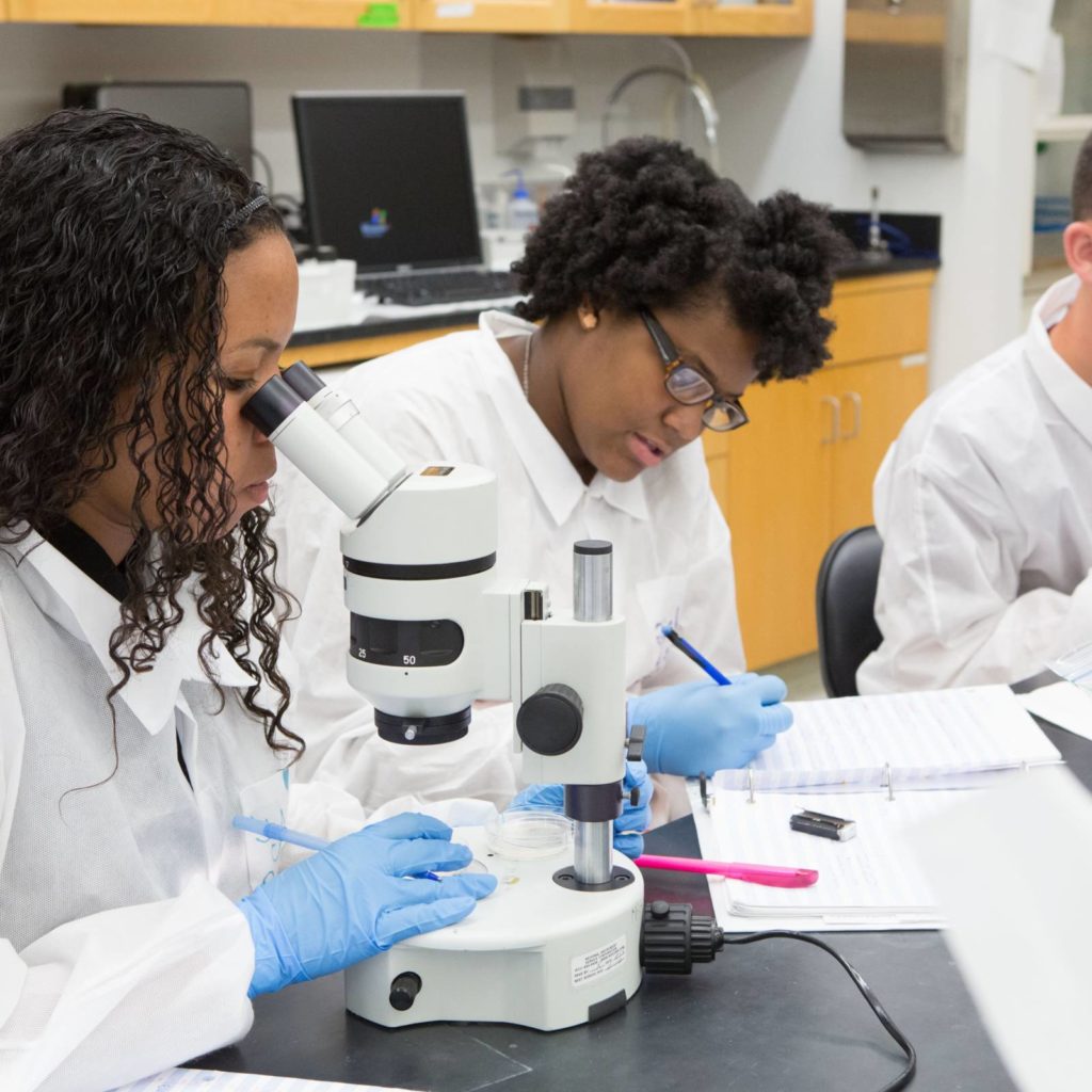 how to write an effective lab report princeton correspondents on 