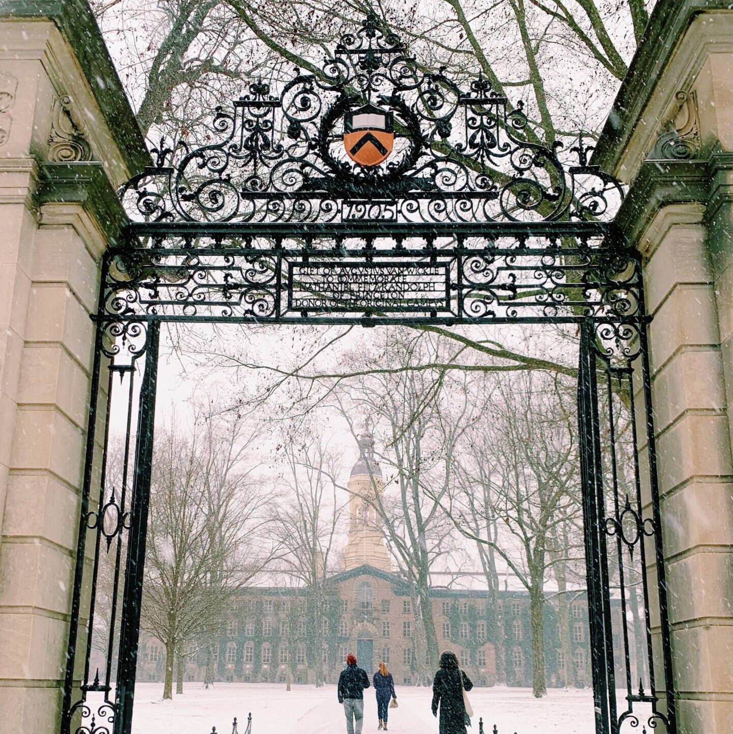 politics senior thesis princeton