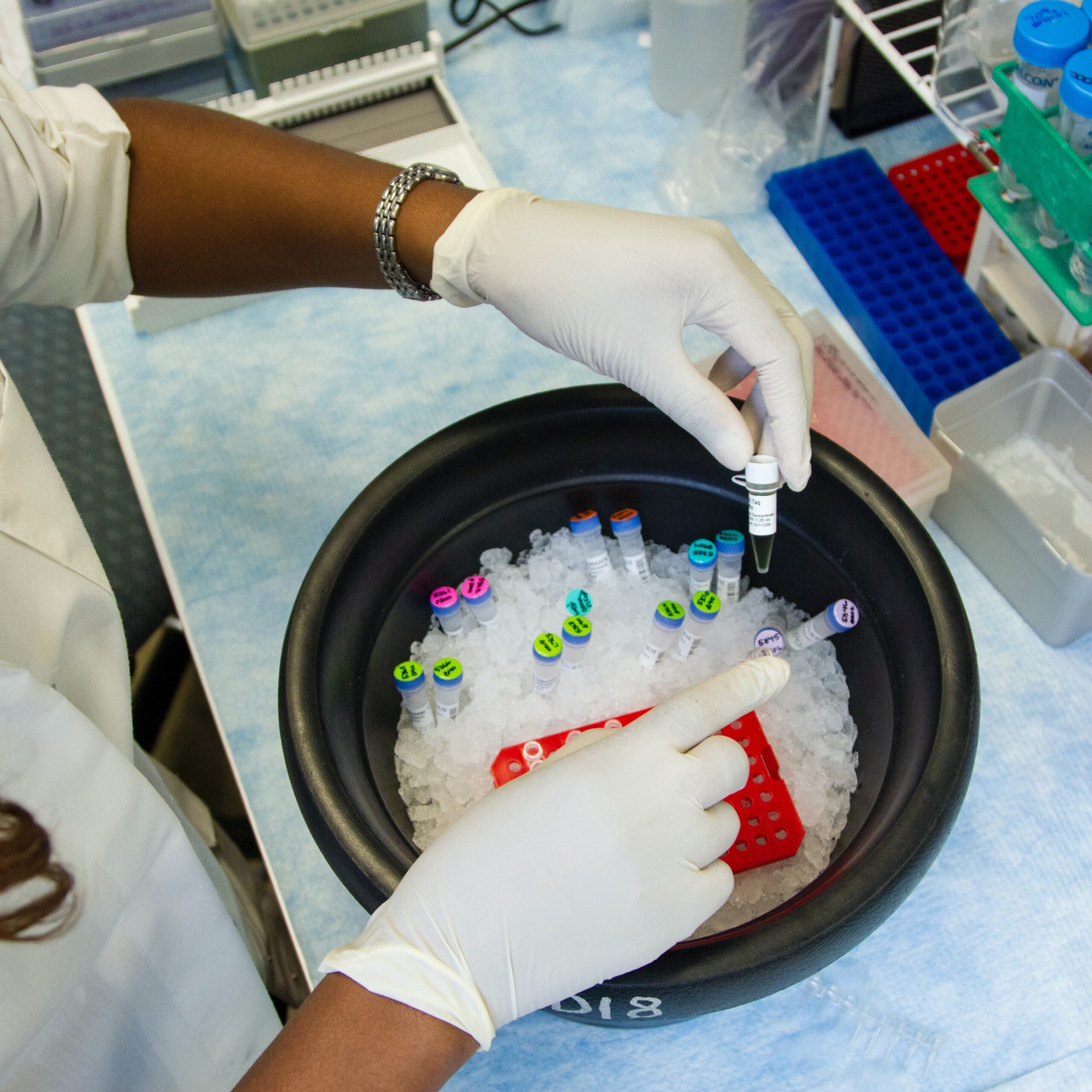 Woman in lab coat arranges sample tubes in black ice bucket.