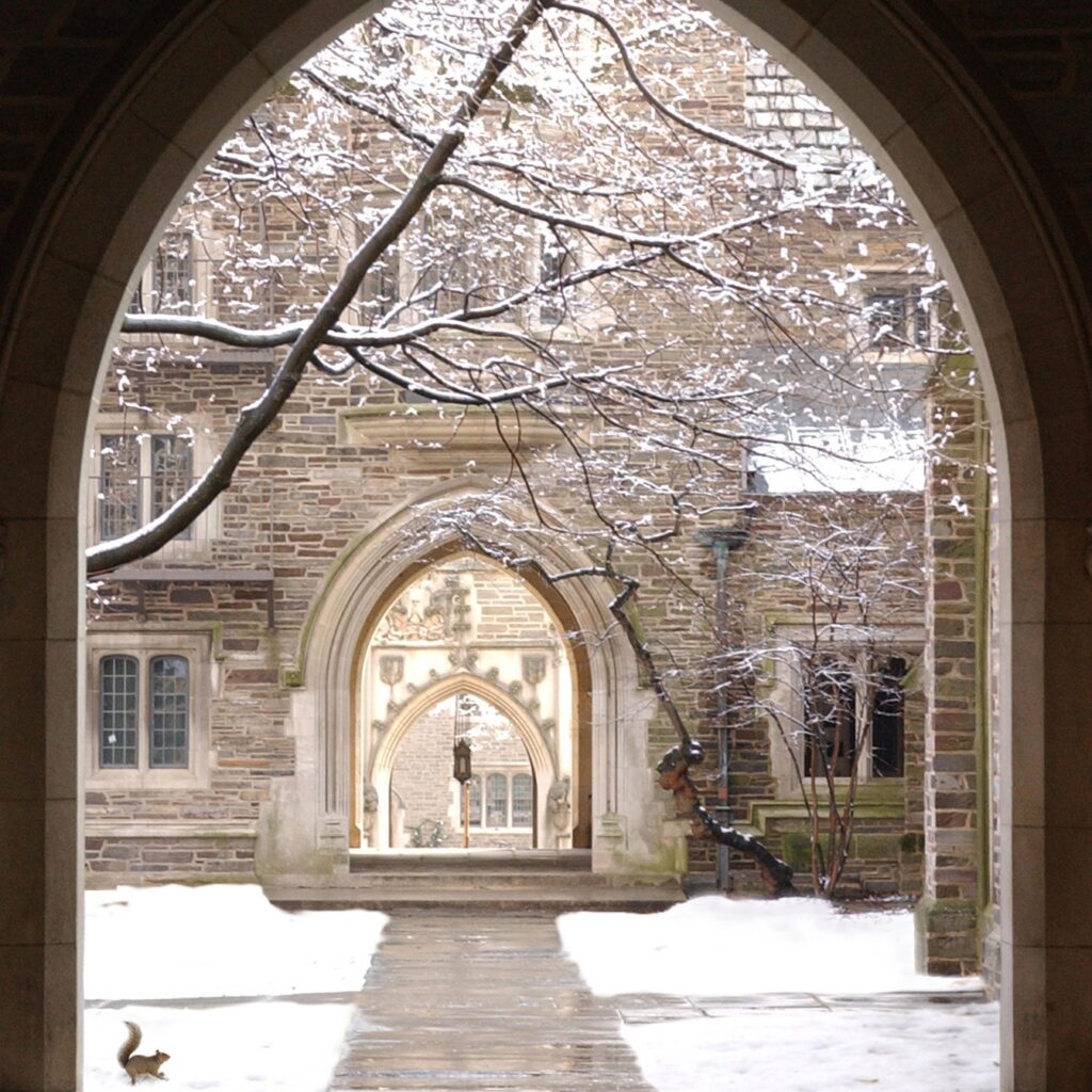 Image depicts courtyard area with grey bricks and fresh snow. A squirrel is in the corner and in the center are a set of archways.
