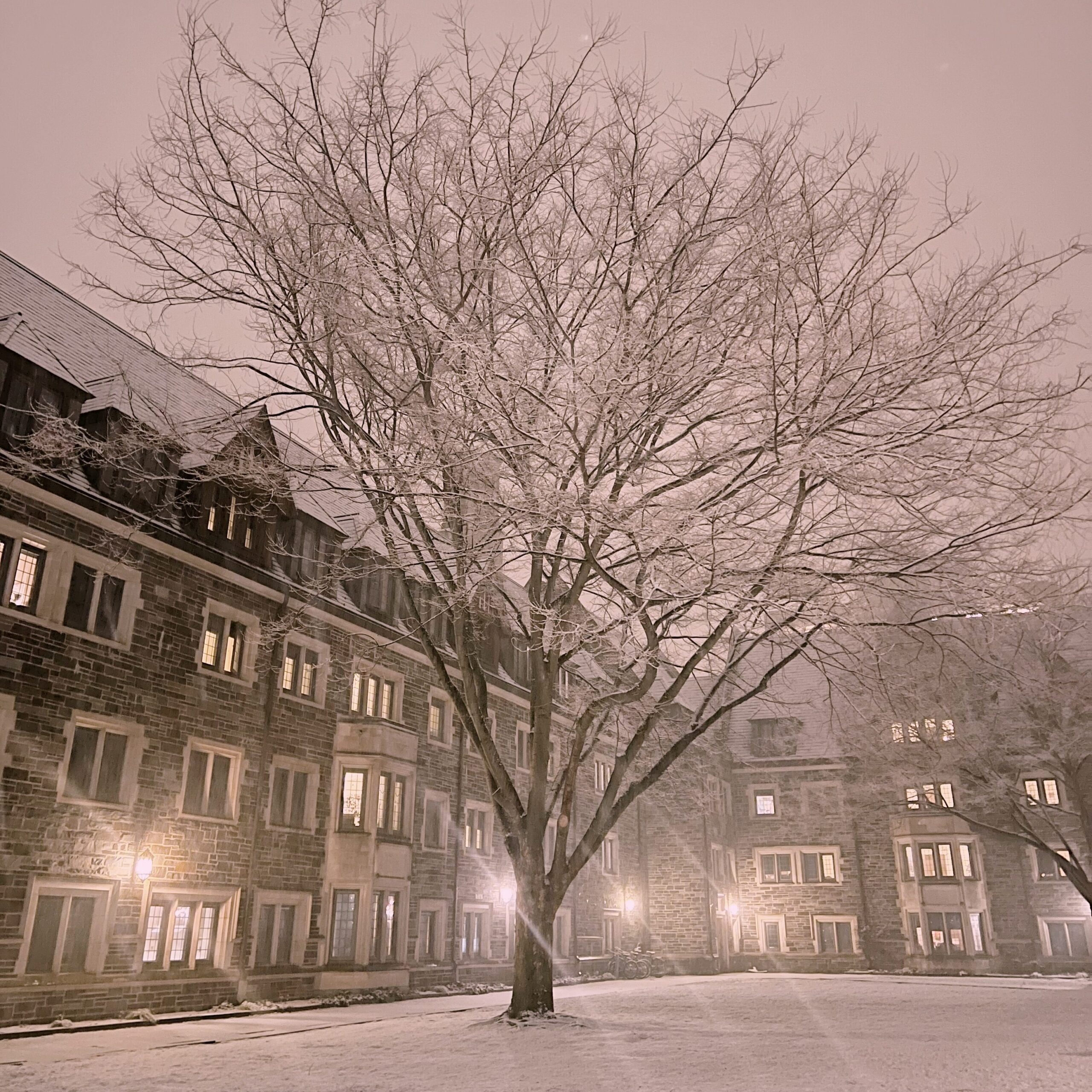 Princeton building at night with light snow. Tree in center of frame and lights casting a glare