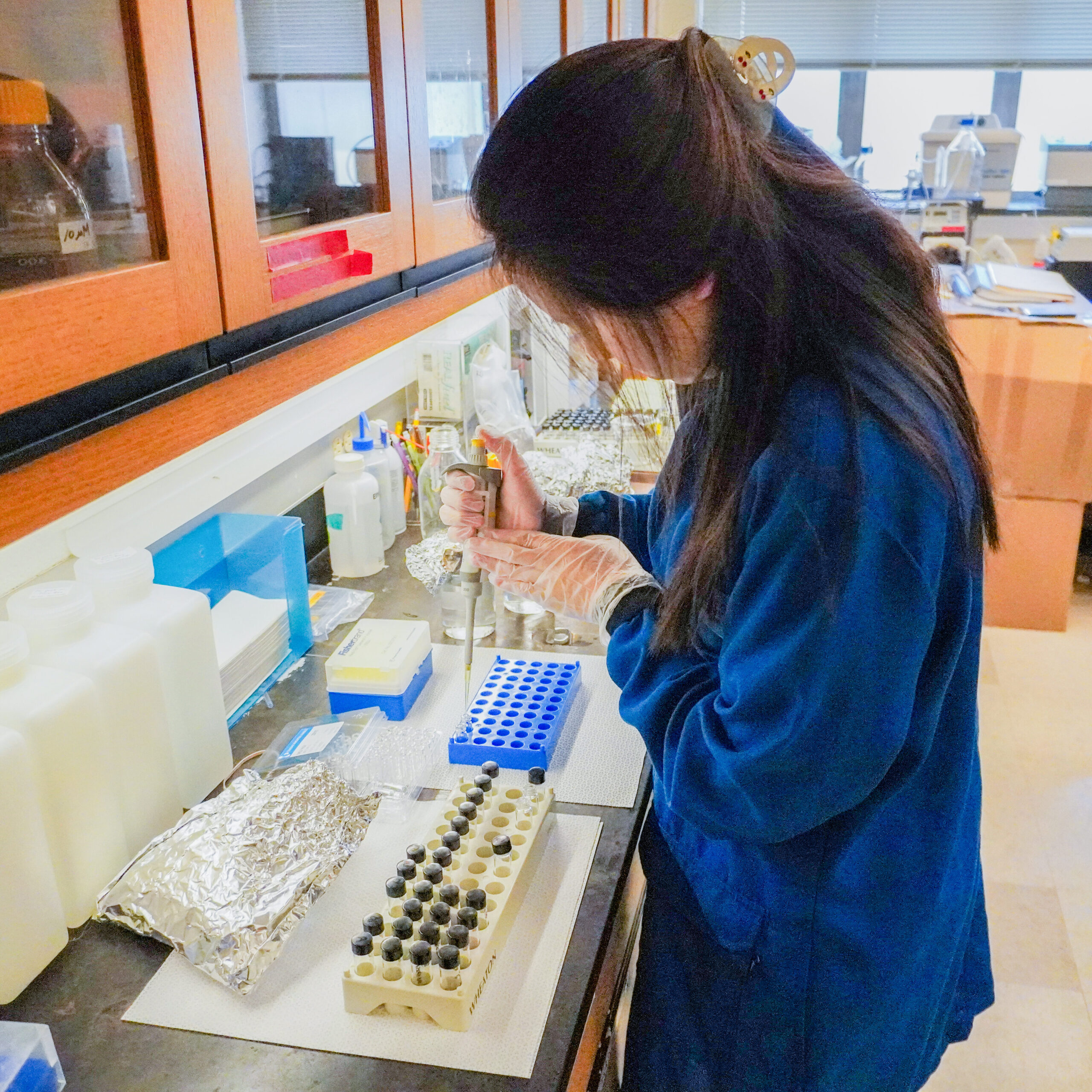 Image of summer laboratory research as an intern in the Department of Geosciences