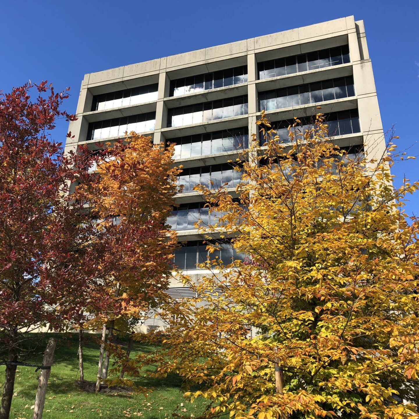 The exterior of the New South Building with fall foliage.