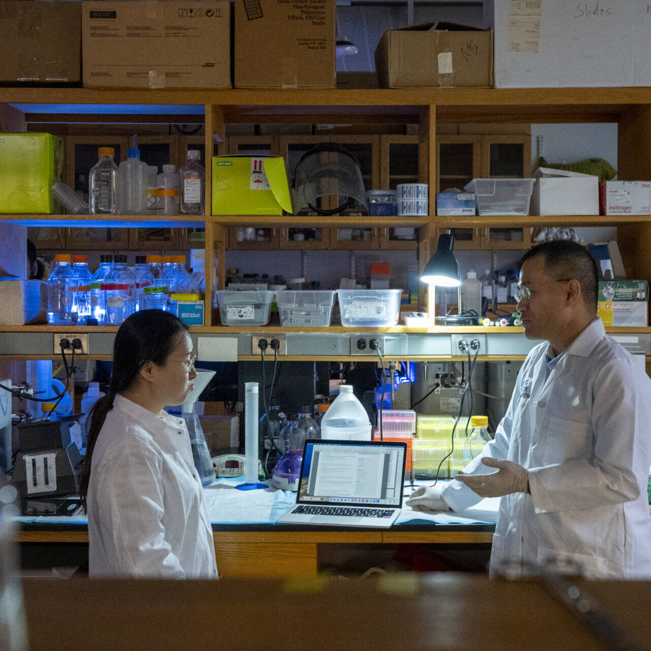 This is Dr Kang discussing something with an unidentified lab member. The ambience is meant to depict the kinds of conversations you have with supervisors about data and any mistakes you made during procedures.