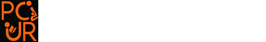Princeton Correspondents on Undergraduate Research