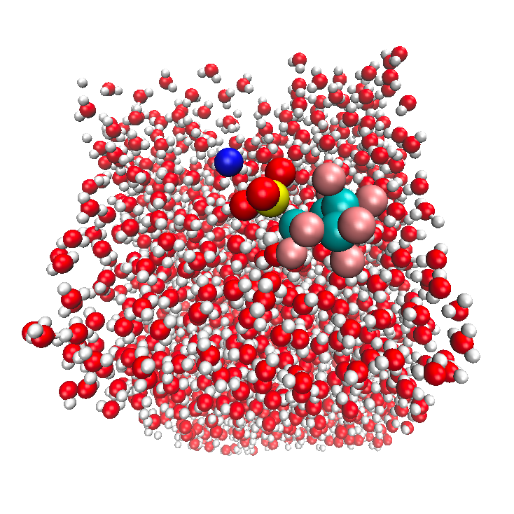 Mai Tran A screenshot of a simulation of thousands of water molecules and a larger organic molecule on top.